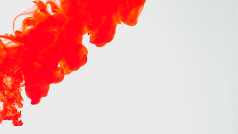 Red-Paint-Or-Dye-Dropped-Into-Water-Against-White-Background-To-Create-Swirling-Colourful-Smoke-Background